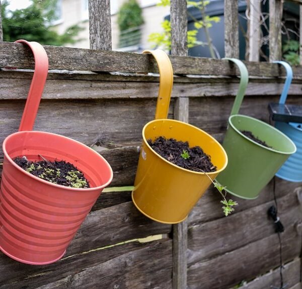 comfortable home and garden ideas