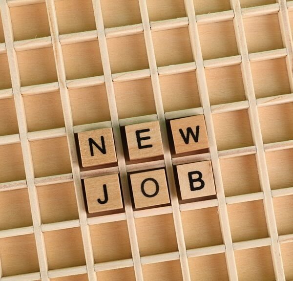 effective job search techniques