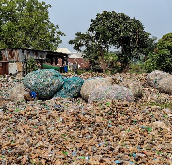 environmental challenges and solutions